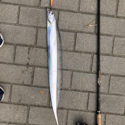 【シーサイドコスモ】好調ライトショアジギング