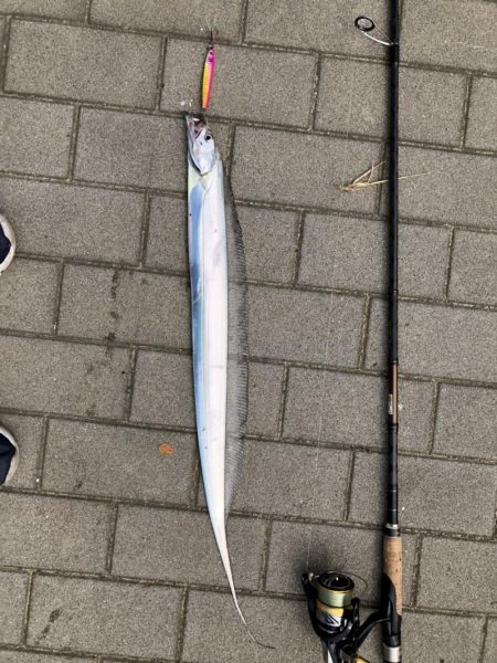 【シーサイドコスモ】好調ライトショアジギング