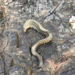 風強し、海はパラダイス
