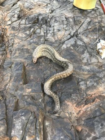 風強し、海はパラダイス