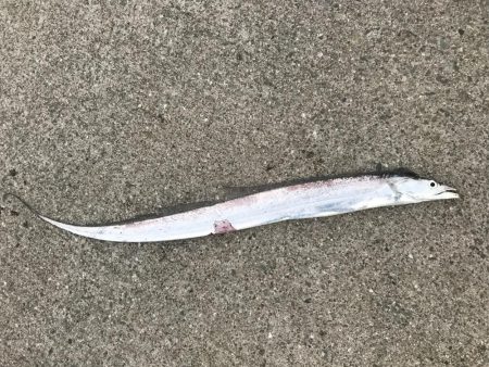 台風後に北公園へ