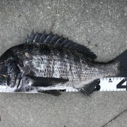 イチノ兄弟、釣果!