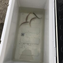 用事のついでに