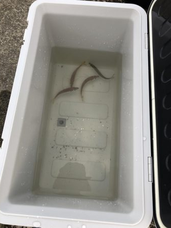 用事のついでに