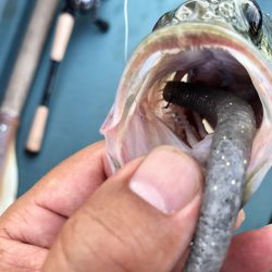 釣れると話題のディープホールへ