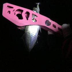 晴れ間のアジング