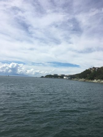 ハマチは渋い、、