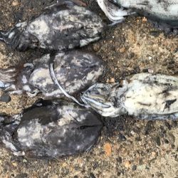 12時間釣りしてた(-_-)zzz