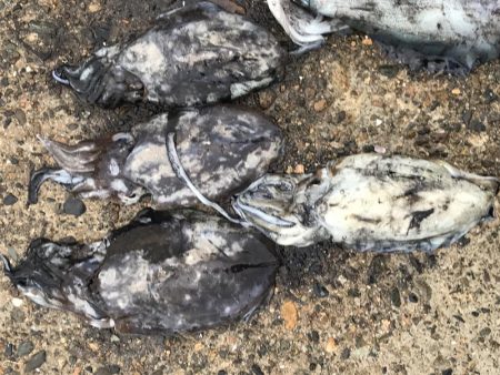 12時間釣りしてた(-_-)zzz