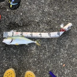 人!人!人!人‼︎‼︎