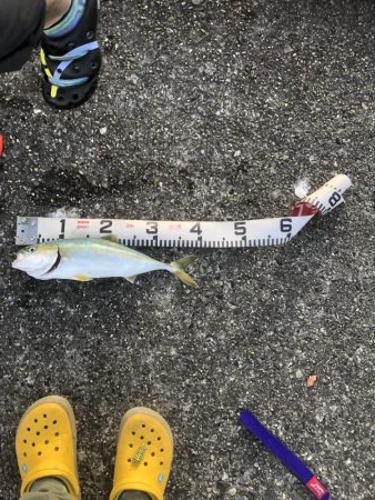 人!人!人!人‼︎‼︎