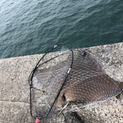 ショアジギング