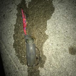 キャプテンシーズン到来