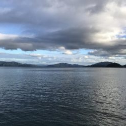 ２時間で１７杯