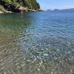 数はでませんでしたが良型揃い