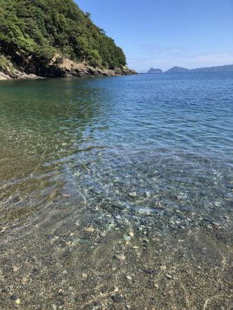 数はでませんでしたが良型揃い