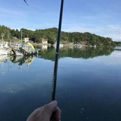 楽しい電気ウキ