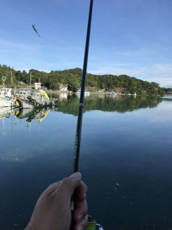 楽しい電気ウキ