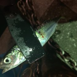 アーバンサイドアジング