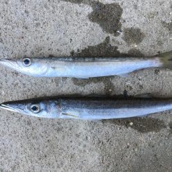 ライトタックル