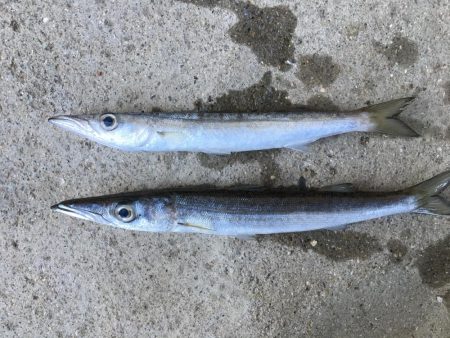 ライトタックル