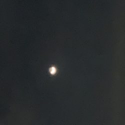 天気は晴天！釣果は曇天！？