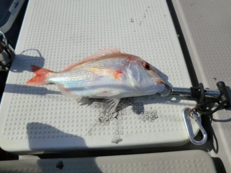 レンタルボートにて