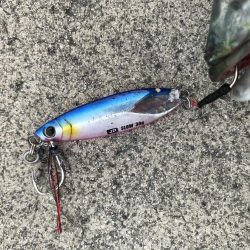 9月27日神戸ランガン