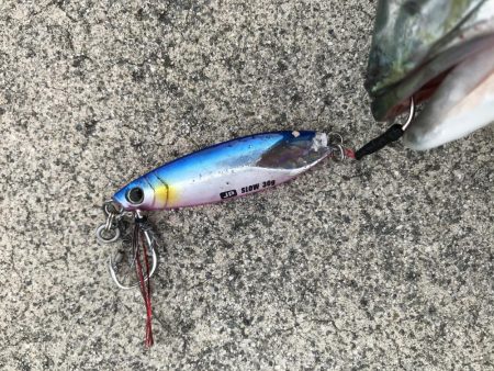 9月27日神戸ランガン