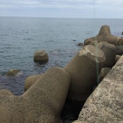 秋イカラッシュ