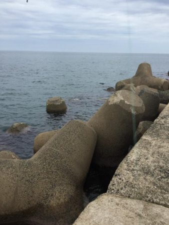 秋イカラッシュ