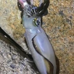 ウォーミングアップ 完了！？