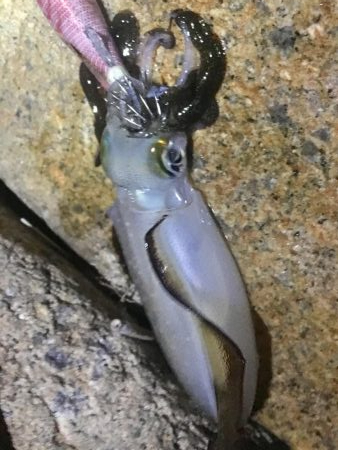 ウォーミングアップ 完了！？