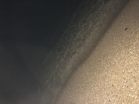 ナイトでも厳しい〜