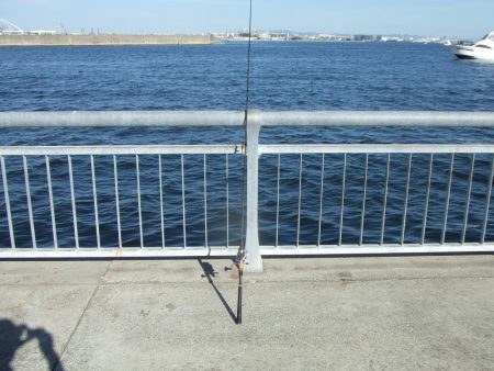 南芦屋浜 小さくてもハマチ(?)