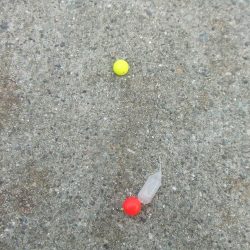 南芦屋浜東　サヨリ釣れず、ハマチ４４㎝