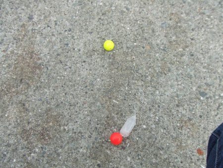 南芦屋浜東　サヨリ釣れず、ハマチ４４㎝