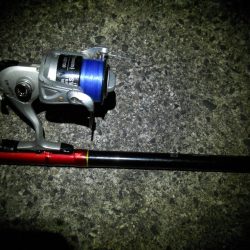 久しぶりの投稿