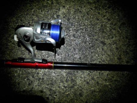 久しぶりの投稿