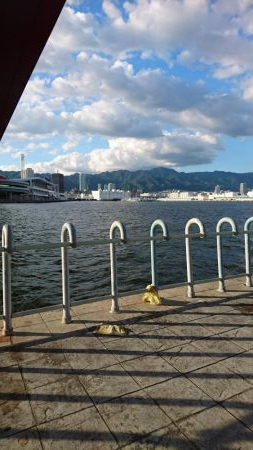 ハマチなんていないよ～