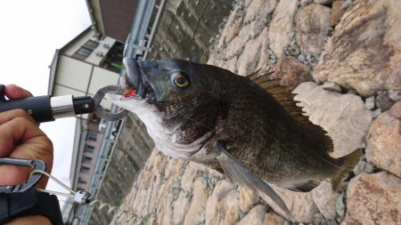 トップゲーム！！