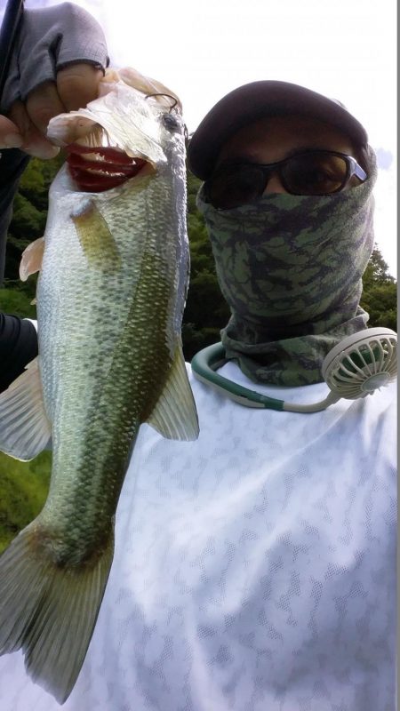 ちっこいのは入れ食い