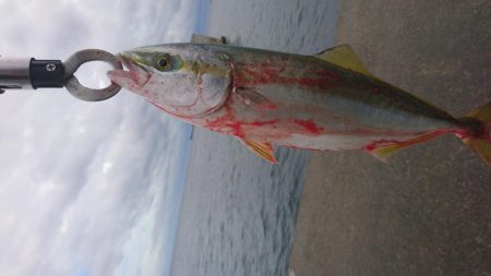 夕マズメ短時間勝負！！