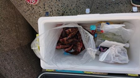 いい潮のわりに…