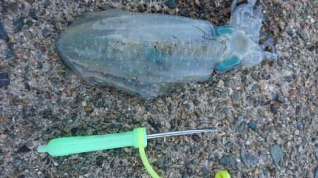 初のメーター！