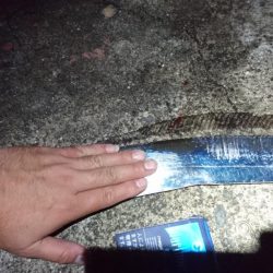 一年ぶりの貝塚