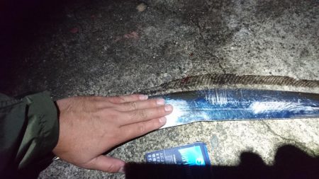 一年ぶりの貝塚