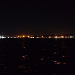 シーズンインと言うにはちょっと早い？