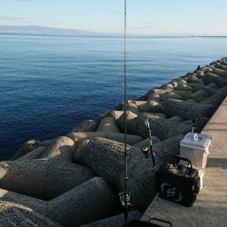 久しぶりのショアジギ