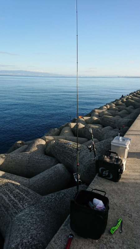 久しぶりのショアジギ